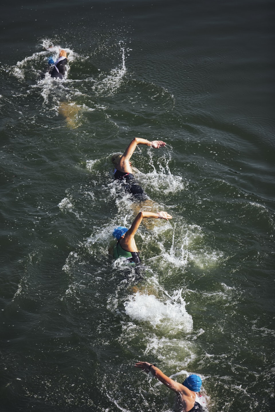 Nage en eau libre avec le club de triathlon Paris Ouest